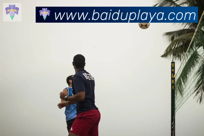 App Interface Preview