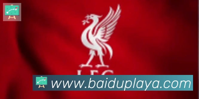 百度体育合作伙伴